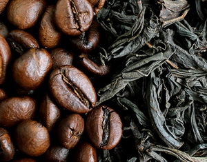 supplier telur jakarta